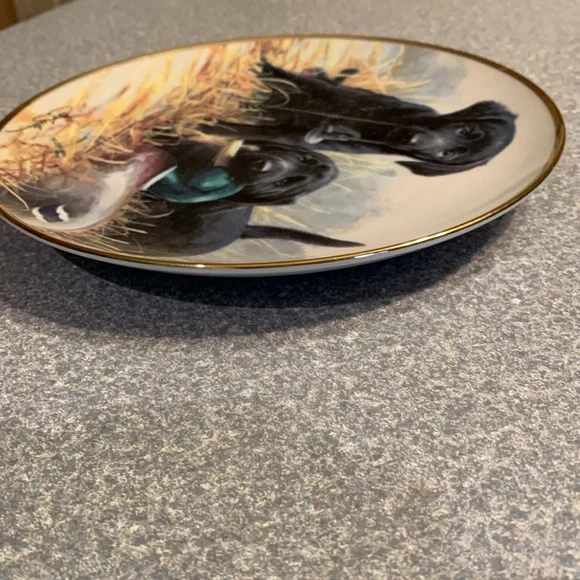 Limited Edition Beginner’s Luck Decorative Plate - Picture 5 of 5